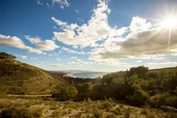 TO PRESERVE AND PROTECT: The Pismo Preserve land conservation project received a $1.1 million boost from the San Luis Obispo County Board of Supervisors on May 20, but is still looking for $2.4 million more by July to close the - deal on buying the 900-acre property, pictured here. - FILE PHOTO BY HENRY BRUINGTON