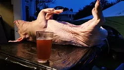 READY FOR RUBBING AND STUFFING: The pig hangs out, ready to be prepped for roasting. - PHOTO BY GEORGE GRIFFIN AND GLEN STARKEY