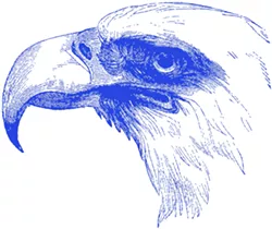 Opinion-Eagle0.jpg
