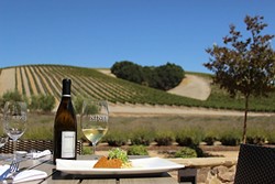 HEART THIS FLAVOR :  Heart Hill&mdash;an oak grove surrounded by vineyards&mdash;offers up a killer view at Niner Wine Estates. - PHOTO COURTESY OF NINER WINERY