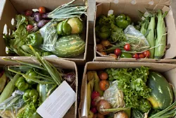 HEALTHY CHOICES : Boxes full of a variety of fresh seasonal produce were offered each week by the Cal Poly Organic Farm, until the program was unexpectedly halted in summer. - PHOTO BY STEVE E. MILLER