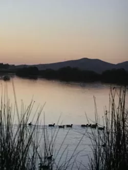 DOGS, DUCK, AND ... DANGER!: Laguna Lakes beauty attracts plenty of people, but pollution makes contact with the water potentially dangerous, and increased sedimentation has made the once popular windsurfing and sailing spot - difficult to navigate. - CHRISTOPHER GARDNER