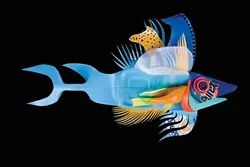 BLUETAIL REEF CRUISER : By David Edgar - PHOTO COURTESY OF DAVID EDGAR