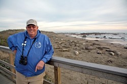 BEACH HEADS :  George Larson is one of many docents who put elephant seals in perspective for visitors from around the world. - PHOTO BY JESSE ACOSTA