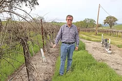 PLUCKED: Dana Merrill, an early proponent of the water district, stands next to his vineyard east of Templeton. - PHOTO BY DYLAN HONEA-BAUMANN