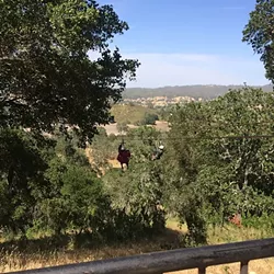 DOUBLE THE FUN: You can’t hold hands while you ride side by side on Margarita Adventure’s tandem zip line, but you can race! - PHOTO BY RYAH COOLEY
