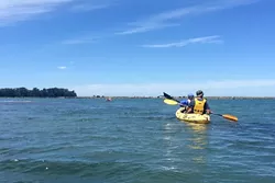 PEOPLE: No trip to the slough would be complete without a near miss. The human-powered watercrafts are as plentiful as the animals are, and the people in this kayak happen to be my parents. - PHOTO BY CAMILLIA LANHAM