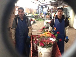 GIVE IT AWAY:  Jose and Luis at Koch nursery in Nipomo load up a cart with roses for Steve Bennett and his Flower Power team. Koch and three other nurseries in Nipomo donate their surplus flowers to be delivered weekly. - PHOTO COURTESY OF STEVE BENNETT