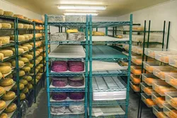 AGING GRACEFULLY: Wheels of goat cheese ripen to maturity at Stepladder Ranch in Cambria. - PHOTO BY AMY JOSEPH