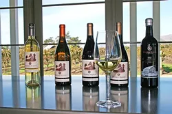 WINE WITH A VIEW: Estate grown chardonnay, vineyard designated pinot noir, and juicy red blends come together at Biddle Ranch, where the verdant vineyard views seem to roll on forever. - PHOTO BY HAYLEY THOMAS CAIN