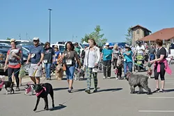 BARK FOR FUNDS: Parks 4 Pups organizes a dog jog at Vina Robles annually to raise money in support of Sherwood Dog Park in Paso Robles. - PHOTO COURTESY OF PAULA O’FARRELL