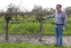 RESOURCE MANAGEMENT: Dana Merrill was an early proponent for the Paso water district that residents voted down earlier this year. The area only has a few more months to come up with a plan B to manage the Paso Robles Groundwater Basin. - FILE PHOTO BY DYLAN HONEA-BAUMANN
