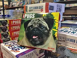 PUGS PUGS PUGS: No matter what they are into, there’s always a gift for everyone. - PHOTO BY CHRIS MCGUINNESS