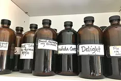 Herbal tinctures by Branch Mill Organic Farm's owner/farmer/tour guide Ruth Madocks in progress. - PHOTO BY HAYLEY THOMAS CAIN