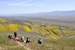 UNDER REVIEW:  The Carrizo Plain is one of six California national monuments now facing an uncertain future after a Trump executive order asked officials to re-evaluate monuments&rsquo; protected status and boundary lines. - PHOTO BY CAMILLIA LANHAM