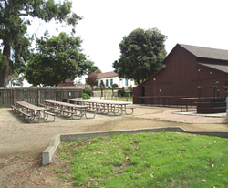 NEW PARK The Los Osos Community Services District and SLO County are finalizing a lease to open a new dog park in the Los Osos Community Park. - PHOTO COURTESY OF SLO COUNTY