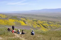 DEADLINE LOOMS Federal recommendations about the future status, boundaries, and protections of the Carrizo Plain National Monument are expected by Aug. 24. The Carrizo was one of 27 national monuments under review by the U.S. Department of the Interior. - FILE PHOTO