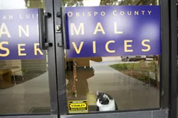 FULL STEAM AHEAD SLO County will move forward on a $13.7-million new animal shelter despite a request from the North County cities to put it on hold. - PHOTO BY JAYSON MELLOM