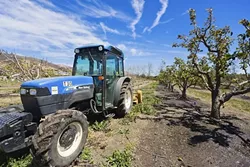 GREEN ACRES The Cal Poly master plan will convert more than 32 acres of campus farmland into sports fields, parking lots, and residential housing, according to a recently released environmental impact report on the university's 20-year master plan. - FILE PHOTO BY KAORI FUNAHASHI