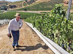 A RIVER RUNS THROUGH IT Well, it took five years and countless environmental agencies, but Parrish Family Vineyard owner/winemaker David Parrish has finally seen the slice of Adelaida Creek that runs through his west Paso Robles vineyard turn green. - PHOTO COURTESY OF PARRISH FAMILY VINEYARD