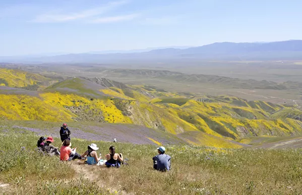 DRILLING ON A MONUMENT Environmental organizations are appealing the Bureau of Land Management's approval of a new oil well on the Carrizo Plain National Monument. - FILE PHOTO BY CAMILLIA LANHAM