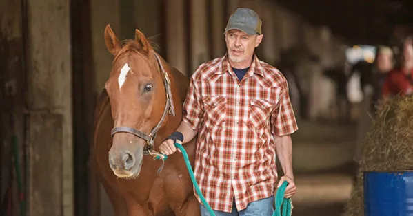 NOT A ROLE MODEL Steve Buscemi stars as Del, a washed-up horse trainer with scant respect for his horses, especially the ones that don't win despite his unethical methods. - PHOTO COURTESY OF BFI FILM FUND