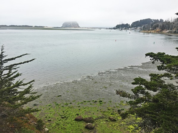 LEARNING WITH A VIEW The museum is situated overlooking an estuary and Morro Bay Rock, providing spectacular views from the observation deck. - PHOTO BY ASHLEY LADIN
