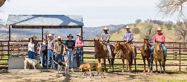 WHERE'S THE BEEF? DD Cattle Co. will bring the beef to wine country this Saturday, July 21, at Calwise Distillery in Paso Robles. From 4 to 9 p.m., sample specialty beef brats made with local wines and sip Calwise cocktails. - PHOTO COURTESY OF SHELBY MCCLAIN