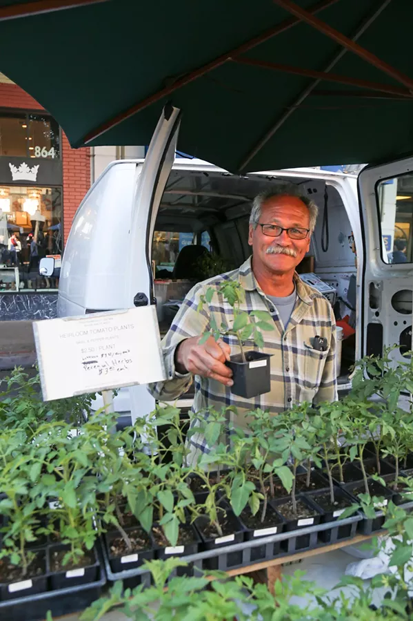 GREEN THUMB Farmer Ralph Johnson gabs with the crowd as he sells produce and plants at the Downtown SLO Thursday night farmers' market. His greenery has been tucked into plates at Gardens of Avila, Honeymoon Cafe in Pismo Beach, and Wild Ginger in Cambria, among other local hot spots. Restaurants and chefs rely on local farmers' markets just as much as area families. - PHOTO BY HAYLEY THOMAS CAIN