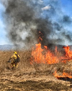 ON FIRE SLO County let a fire that broke out this summer burn to 250 acres because a prescribed burn was planned for the same area later in the week. - PHOTO COURTESY OF SLO COUNTY CAL FIRE