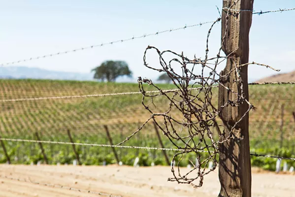 SAVE OR SUPPLEMENT? Paso Robles Groundwater Basin decision makers are discussing multi-million-dollar water projects that could bring aid to the aquifer that serves Paso Robles wine country. - FILE PHOTO BY TOM FALCONER