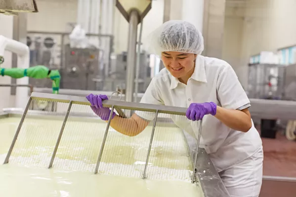 CUT THE CHEESE Cal Poly student Patricia Lai, who's finishing her Master of Professional Studies in Dairy Products Technology, uses a special tool to cut cultured milk into curds and whey, which will eventually become cheese. - PHOTO COURTESY OF CAL POLY