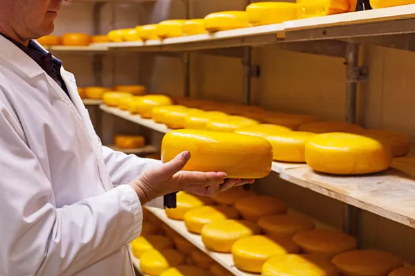 NEW SHELVES Cal Poly Creamery Operations Manager Thomas Johnson holds a wheel of Grand Gouda in one of the creamery's new temperature-controlled aging rooms. - PHOTO COURTESY OF CAL POLY
