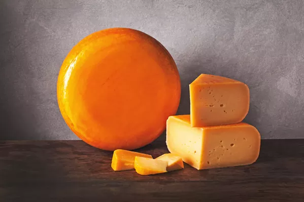 AWARD-WINNER Cal Poly's Grand Gouda took third in the U.S. Cheese Championship Contest this past March. It's a big deal, Creamery Operations Manager Thomas Johnson says, because the student-crafted cheese went up against commercial creameries rather than other colleges. - PHOTO COURTESY OF CAL POLY