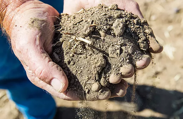 FALLOWED San Miguel farmer Robert Galbraith cups a handful of soil from his 280-acre property. Because of pumping restrictions in the Paso Robles Groundwater Basin, Galbraith can't farm like his family has for decades. - FILE PHOTO BY JAYSON MELLOM