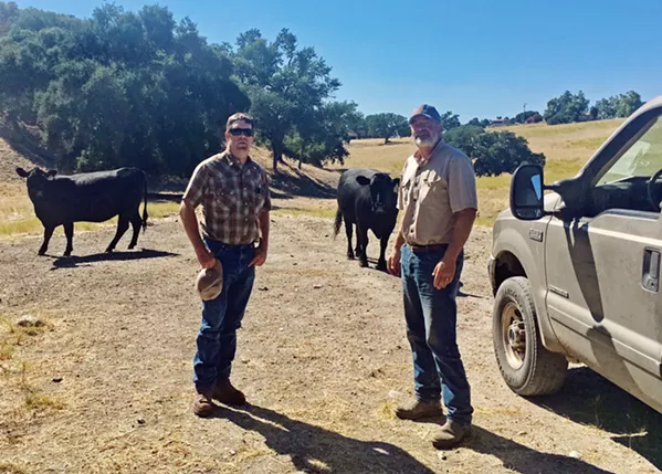 MOVIN' AND GROOVIN' Will Woolley and Alton Emery of Templeton Hills Beef are always looking for new land, making sure their cattle have fresh grasslands to graze on. Woolley explained that the Templeton area has long dry seasons, which make grazing challenging. - PHOTO BY BETH GIUFFRE