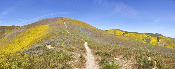 SEEKING PROTECTION Federal protections for public lands like the Carrizo Plain (pictured) are among a number of local initiatives included in the House of Representatives' defense bill. - FILE PHOTO BY CAMILLIA LANHAM