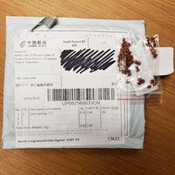 SOWING CONFUSION Residents throughout the Central Coast and nation are receiving unsolicited packages of seeds, many of which appear to be coming from China. - PHOTO COURTESY OF THE SLO COUNTY DEPARTMENT OF AGRICULTURE