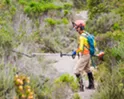 Path to nature: Volunteers, nonprofits, and local governments work together to make open space accessible by foot, bike, and horse