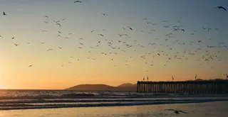 Local and state representatives unite to prepare for sea level rise