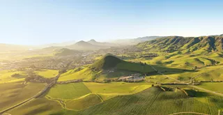 A toast to SLO Coast: Local wine expert helps bring a new format to Roll Out the Barrels 2021