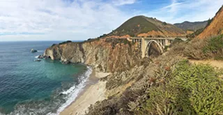 Leaves do change color on the Central Coast, you just have to wait until December