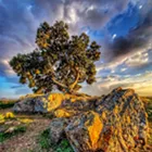 Winning Images 2020 - Land/Seascape entries