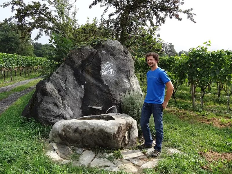 SWISS MISTER : Matthias Gubler operates a winery in Maienfeld, Switzerland. - PHOTO BY DAN HARDESTY