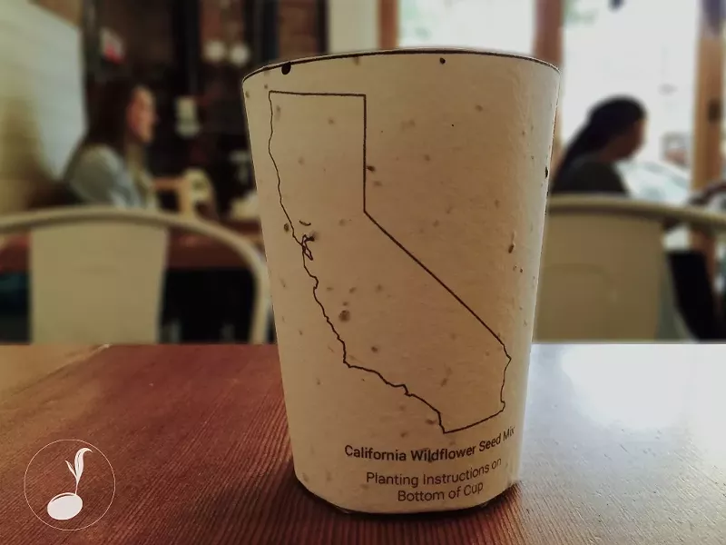 LET IT GROW: For his senior project at Cal Poly, Alex Henige has developed a prototype of a biodegradable, plantable coffee cup that contains seeds of around 20 native California flora. - PHOTO COURTESY OF ALEX HENIGE