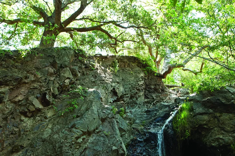 DO GO CHASING WATERFALLS: The serene 800-acre Reservoir Canyon Natural Reserve, which lies just northeast of the city of SLO, will see a set of improvements and new trails thanks to a conservation plan recently approved by the City Council. - FILE PHOTO BY STEVE E. MILLER