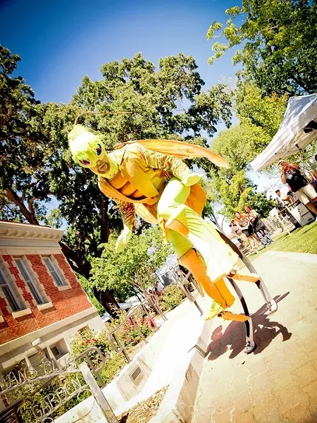 CURIOUS CREATURES : It wouldn’t be the Paso Robles Festival of the Arts without an appearance by the Dragon Knights Stiltwalkers, a San Diego-based troupe of performers who transform into magnificent, towering, mythical beings. - PHOTO COURTESY OF STUDIOS ON THE PARK