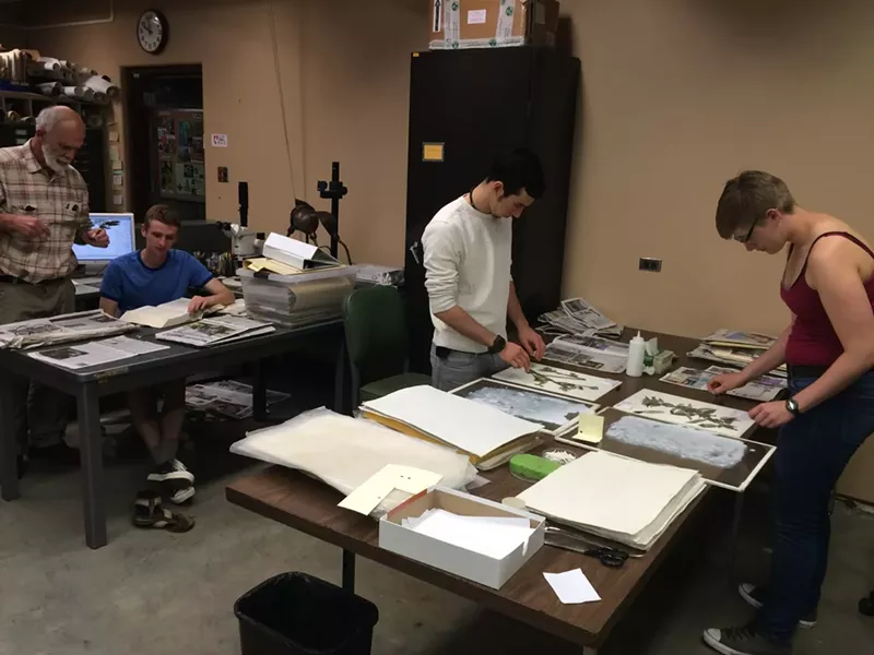 PRESERVE: Volunteers dry and glue plant samples to archival paper. - PHOTO BY JENN YOST