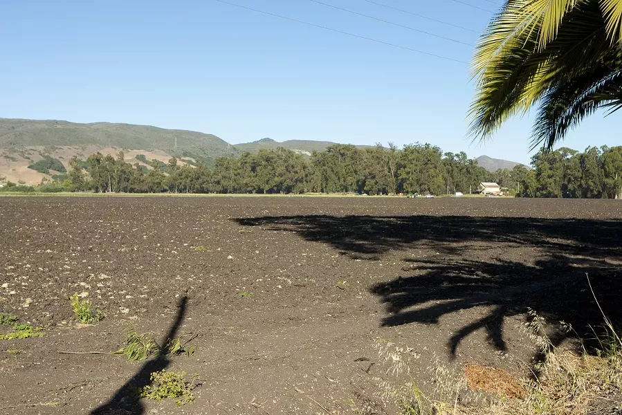 FOR SALE : The 131-acre property in unincorporated San Luis Obispo County—ground zero in a 2005 annexation battle and a subsequent ballot initiative to develop the land—has been put up for sale by its owner, prominent rancher Ernie Dalidio, for nearly $20 million. - PHOTO BY STEVE E. MILLER