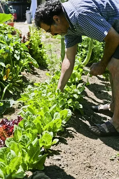 FARMER GEORGE: Liz says her husband George Griffin “blisses out” when he works in the garden. - PHOTO BY GLEN STARKEY